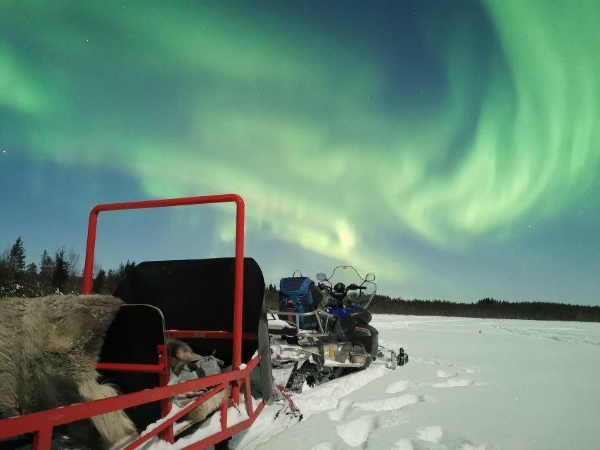 Rovaniemi: Northern Lights Sledge Ride - Warm berry drink, biscuits, and a forest break