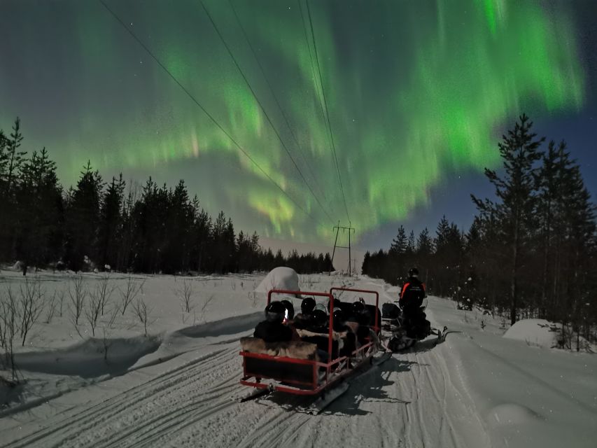 Rovaniemi: Northern Lights Sledge Ride - Is $90 good value?