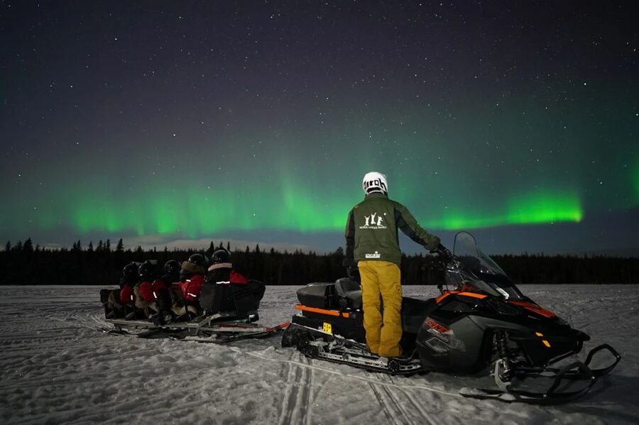 Rovaniemi: Northern Lights Sleigh Ride - Blueberry juice, gingerbread, and possible campfire food