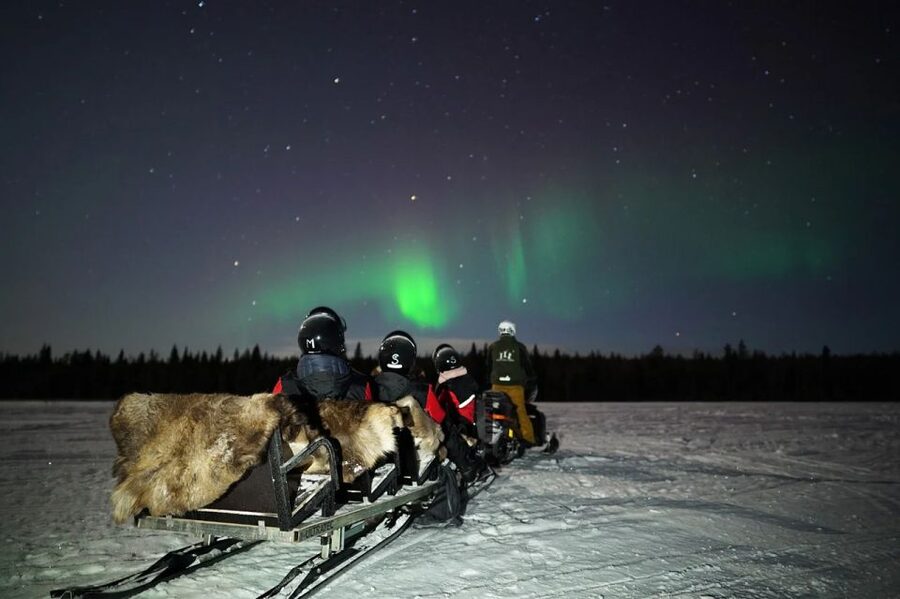 Rovaniemi: Northern Lights Sleigh Ride - How this compares with driving your own snowmobile
