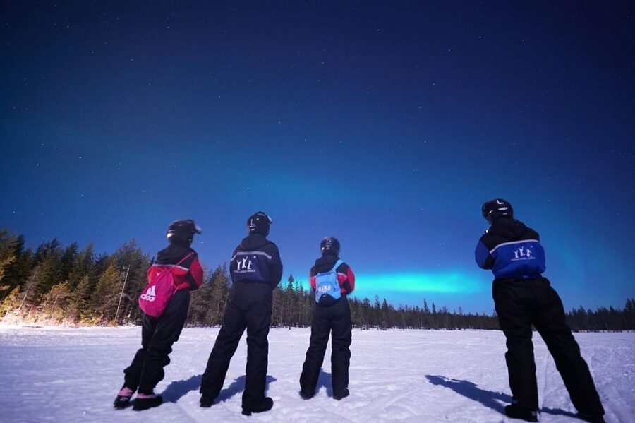 Rovaniemi: Northern Lights Sleigh Ride - Is $58 a fair price?