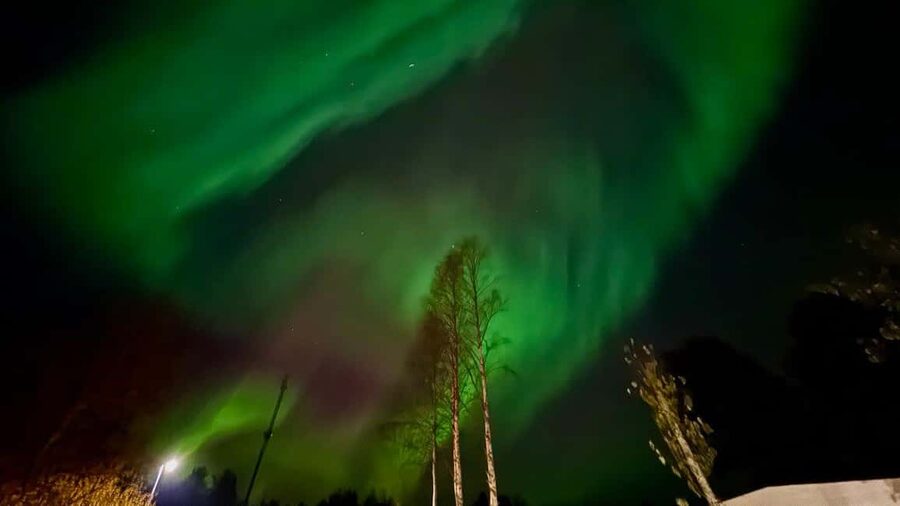 Rovaniemi: Northern Lights Tour with BBQ - The guide and group experience