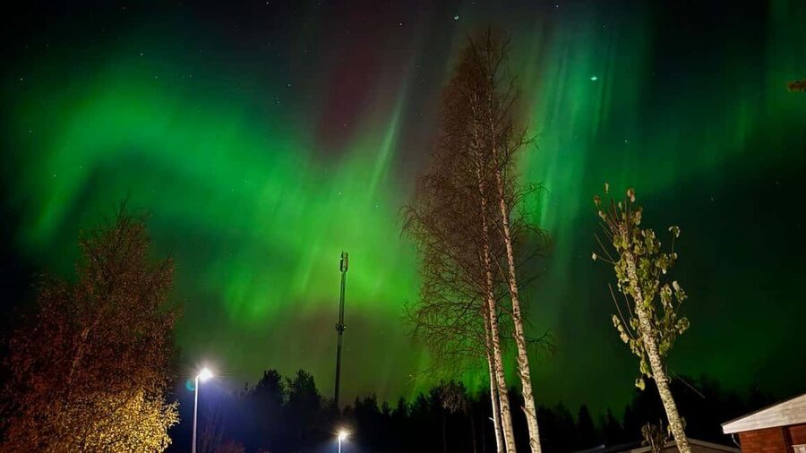 Rovaniemi: Northern Lights Tour with BBQ - Should you book the Rovaniemi aurora BBQ tour?