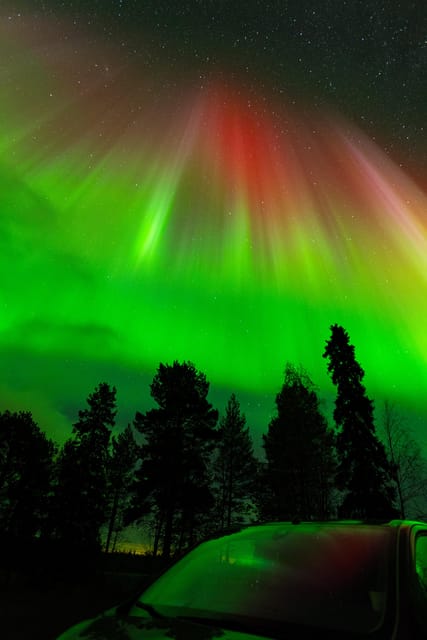 Rovaniemi: Northern Lights Tour with Guarantee - Key points to know before booking
