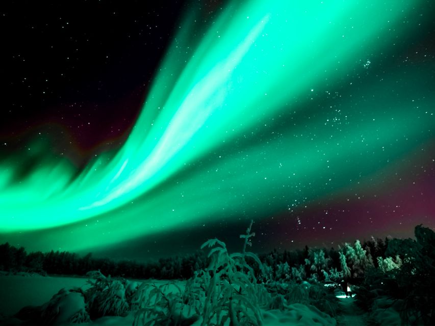 Rovaniemi: Northern Lights Tour with Guaranteed Sightings - Key points to know before you book