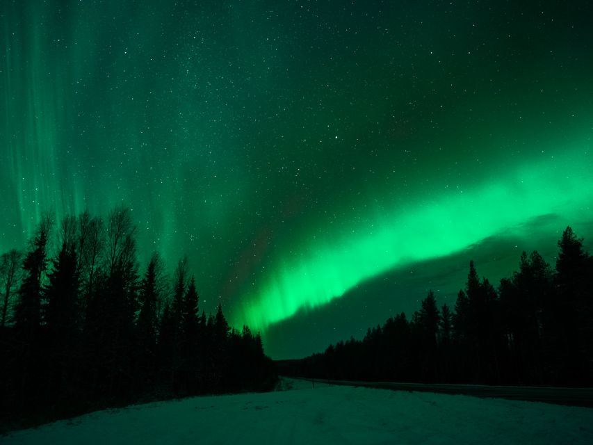 Rovaniemi: Northern Lights Tour with Guaranteed Sightings - The guide shapes the whole night