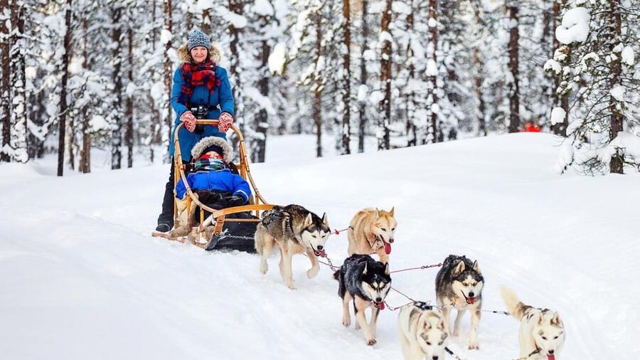 Rovaniemi: One Hour Husky Experience - Why the Short Format Works for Some Families
