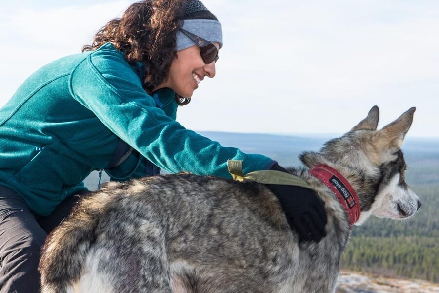 Rovaniemi: One Hour Husky Experience - Meeting the Huskies Before the Sled Run