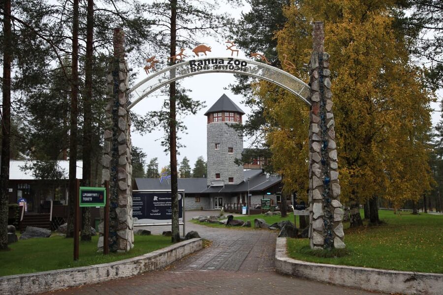 Rovaniemi: Ranua’s Wildlife Park Ticket with Transportation - Three hours on the snowy animal trail