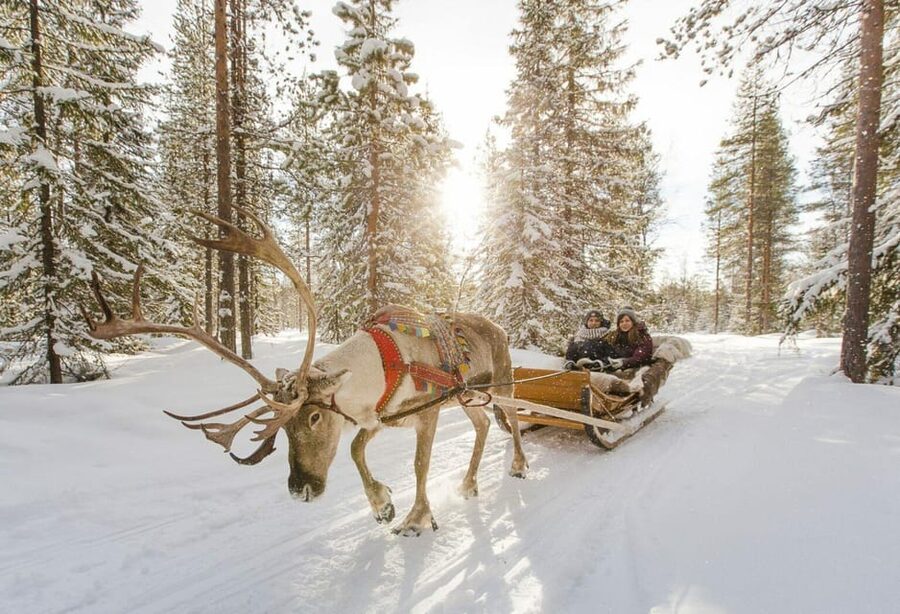 Rovaniemi: Reindeer Farm Visit and Sleigh Ride with transfer - Who will enjoy this outing most
