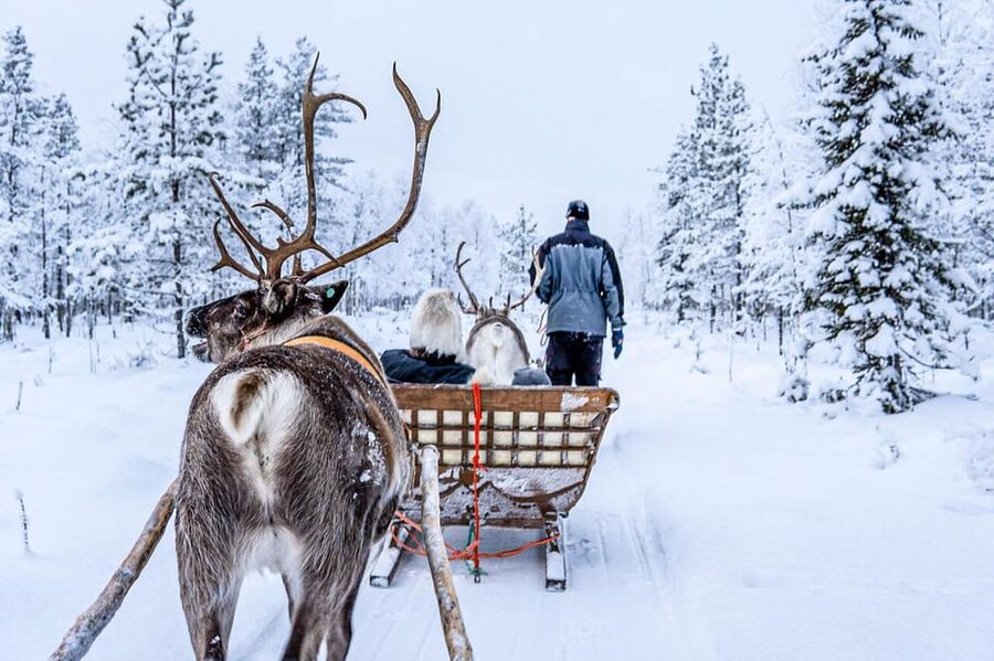 Rovaniemi: Reindeer Farm Visit and Sleigh Ride with transfer - Season, clothing, and timing