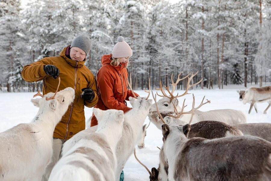 Rovaniemi: Reindeer Farm Visit and Sleigh Ride with transfer - The ride from Rovaniemi to the farm