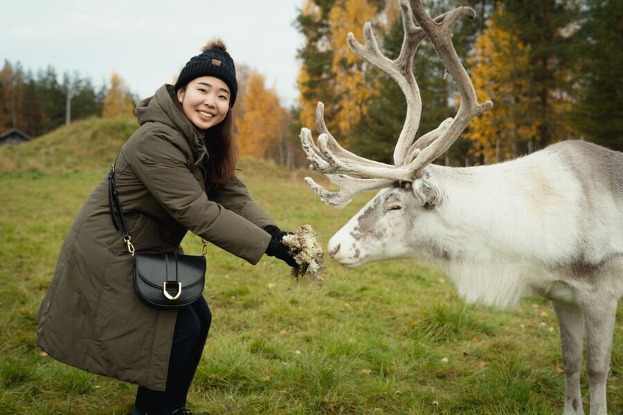 Rovaniemi: Reindeer Farm Visit with Photographer - A reindeer farm with more than a photo stop