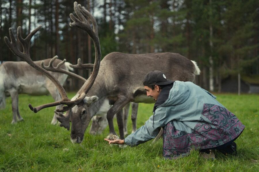Rovaniemi: Reindeer Farm Visit with Photographer - Why the guide matters