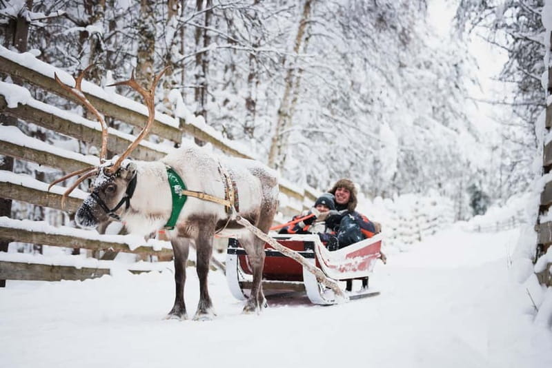 Rovaniemi: Reindeer, Huskies & Santa Claus Village - Why this six-hour Lapland sampler works