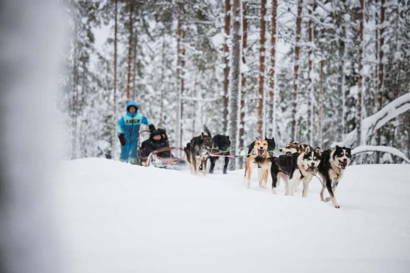 Rovaniemi: Reindeer, Huskies & Santa Claus Village - Winter clothing and comfort in serious cold