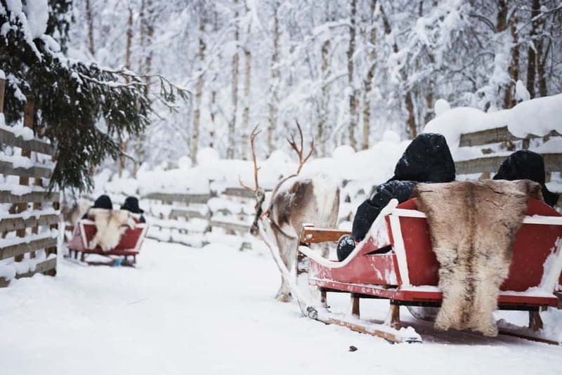 Rovaniemi: Reindeer, Huskies & Santa Claus Village - Starting the morning at the correct office