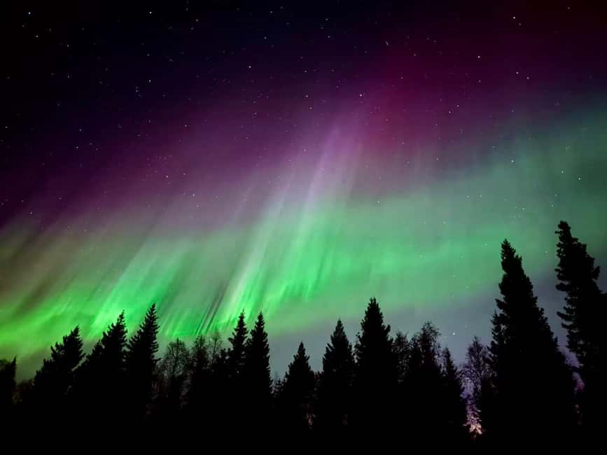 Rovaniemi: Reindeer, Huskies, Santa's Pets & Aurora Hunt - Aurora chances are real, but never promised