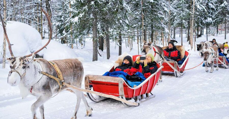 Rovaniemi: Reindeer Sleigh Ride with Hot Drink and Cookies - Pickup from Rovaniemi and the ride to the farm