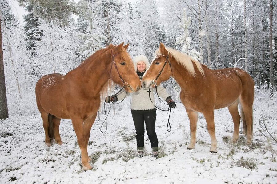 Rovaniemi: Riding Tour with Finnhorses at SCV - Winter forests, autumn color, and summer light