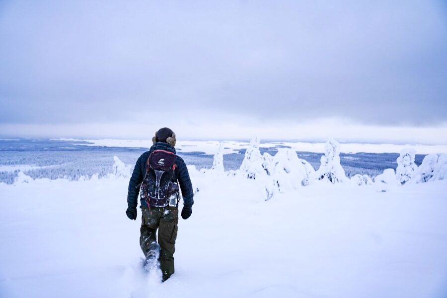 Rovaniemi: Riisitunturi National Park Day Trip with Lunch - What the 4-kilometre walk feels like