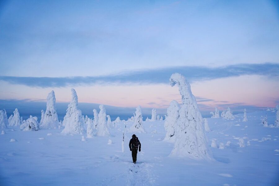 Rovaniemi: Riisitunturi National Park Day Trip with Lunch - Guides, group size, and the human side of the day