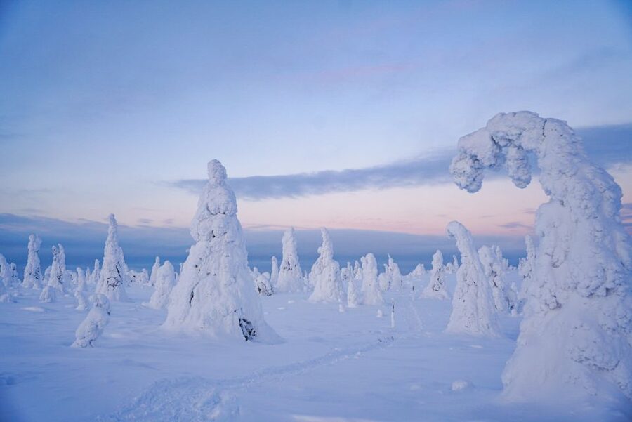 Rovaniemi: Riisitunturi National Park Day Trip with Lunch - Is $223 a fair price?