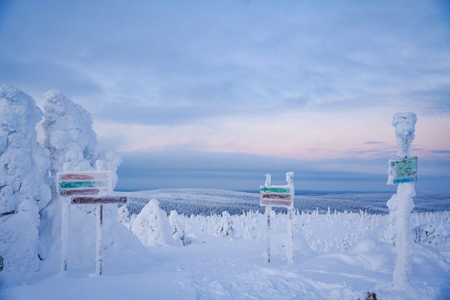 Rovaniemi: Riisitunturi National Park Day Trip with Lunch - Timing, pickup, and the long day
