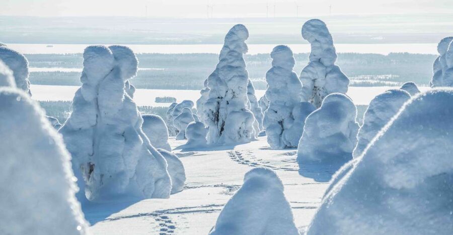 Rovaniemi: Riisitunturi National Park with Pro Photos & BBQ - The guide makes or breaks the day