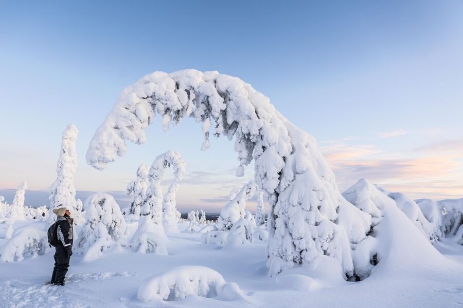 Rovaniemi: Riisitunturi National Park with Pro Photos & BBQ - What you eat beside the fire