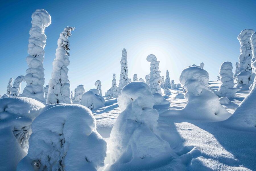 Rovaniemi: Riisitunturi National Park with Pro Photos & BBQ - Warm clothing and winter boots are included
