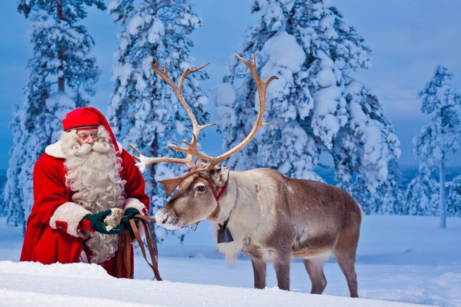 Rovaniemi: Santa Claus Village and Arctic Circle - The buffet lunch and what it adds