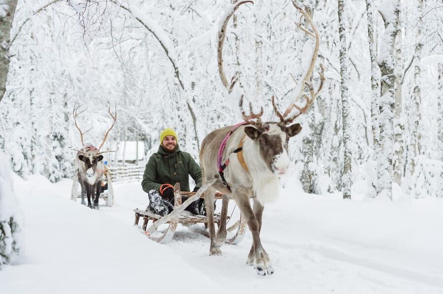 Rovaniemi: Santa Claus Village + Husky & Reindeer Sled Ride - Meeting the huskies and taking the sled
