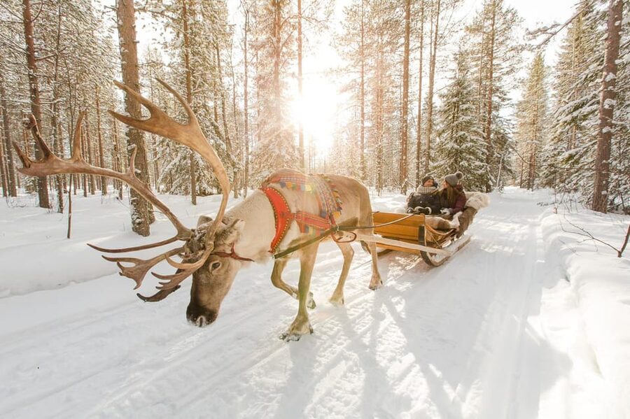 Rovaniemi: Santa Claus Village + Husky & Reindeer Sled Ride - Santa Claus Village at the Arctic Circle