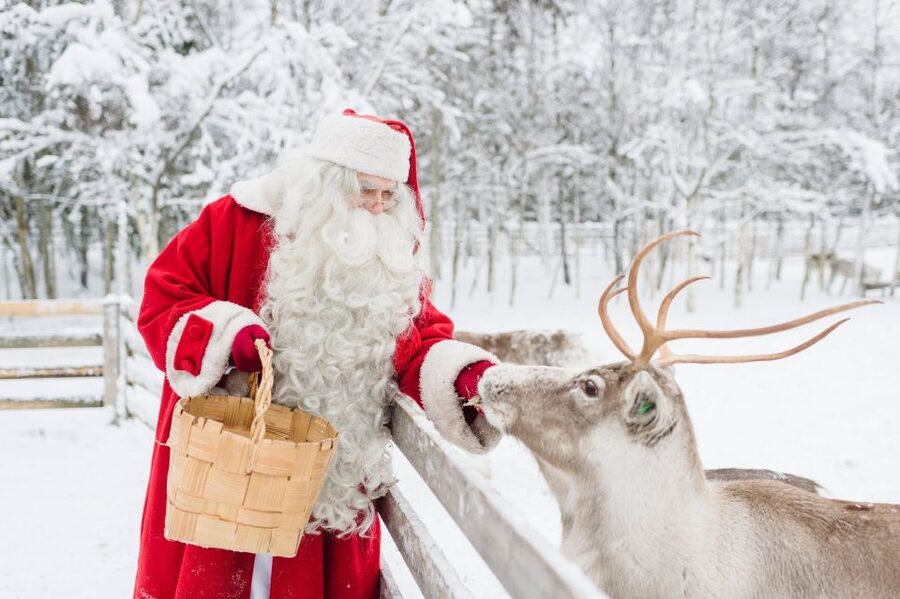 Rovaniemi: Santa Claus Village Visit with Hotel Pickup - Free Time Covers Shops, Food, and Optional Reindeer Viewing