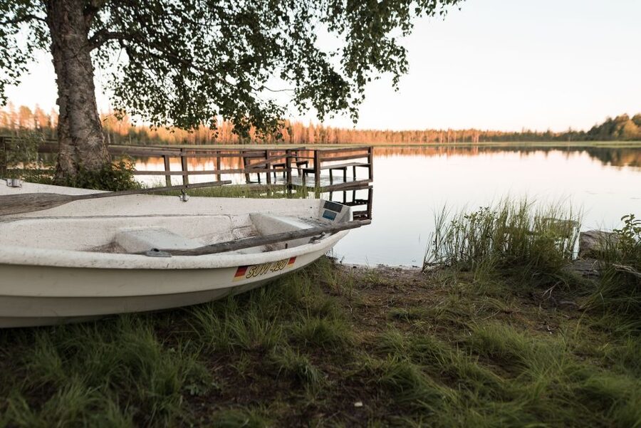 Rovaniemi: Sauna & Ice Swimming Tour with Dinner and Aurora - Smoked salmon by the fire