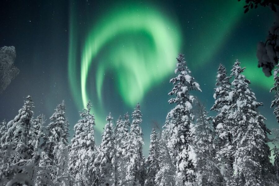 Rovaniemi: Search for Northern Lights Snowmobiling Trip - Clothing, comfort, and cold-weather preparation