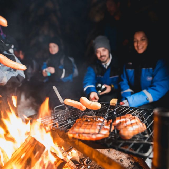Rovaniemi: Search for Northern Lights Snowmobiling Trip - The real draw: a snowmobile ride after dark