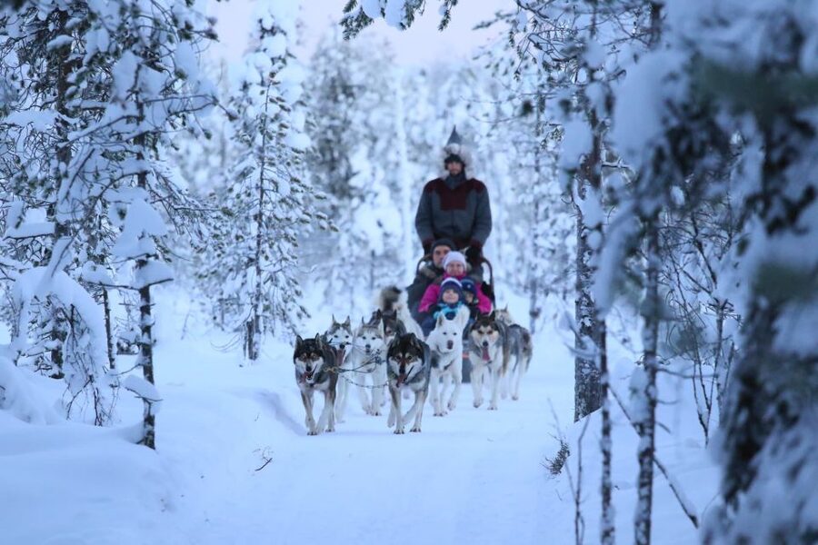 Rovaniemi: Self-Drive Husky Sleigh Ride Adventure - Clothing, photography, and practical preparation