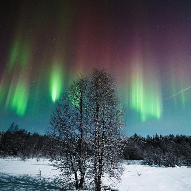 Rovaniemi: Small Group Aurora Hunt-full money back guarantee - Who should book this Into North experience