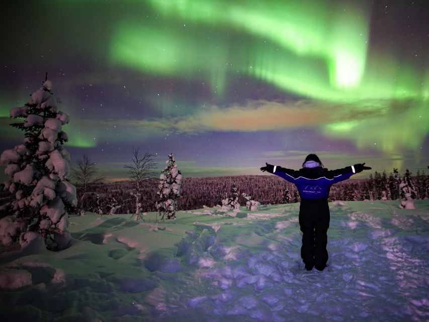 Rovaniemi: Small-Group Northern Lights Wilderness Tour - The Northern Lights hunt begins outside Rovaniemi