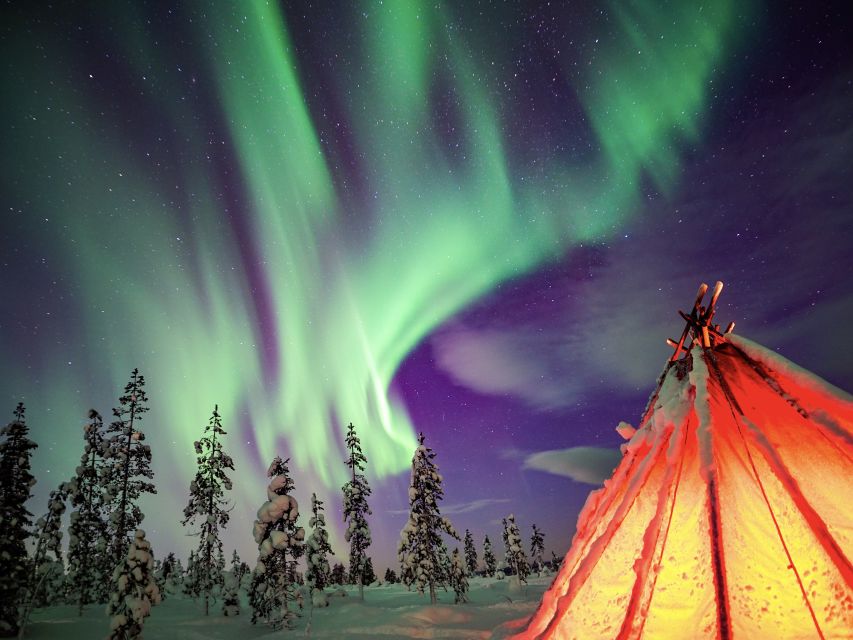 Rovaniemi: Small-Group Northern Lights Wilderness Tour - The guides make the difference