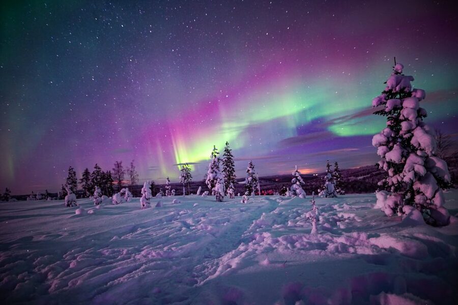 Rovaniemi: Small-Group Northern Lights Wilderness Tour - Is $136 a fair price?