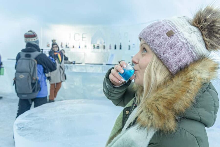 Rovaniemi: Snow Hotel Tour and Ice Restaurant Dinner - What is on the three-course menu
