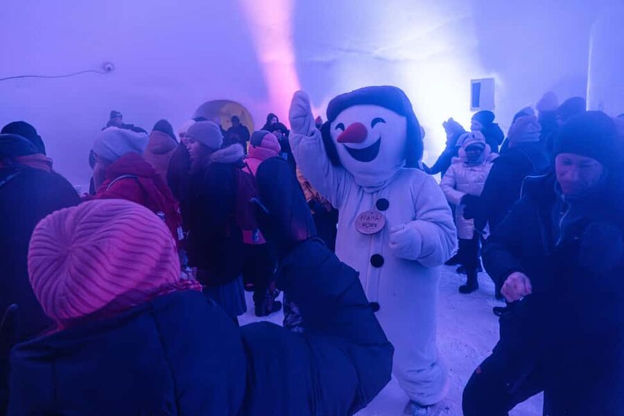 Rovaniemi: Snowman World Entrance Ticket - Who will enjoy it most?