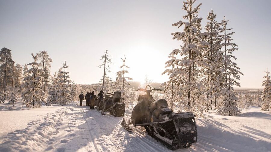 Rovaniemi: Snowmobile Adventure Tour for Adults Only - Through the forest: the right place to learn
