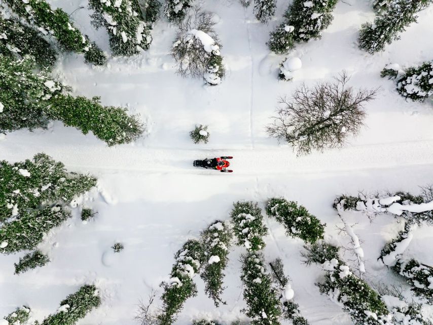 Rovaniemi: Snowmobile Safari Adventure - One hour through forests and over frozen lakes