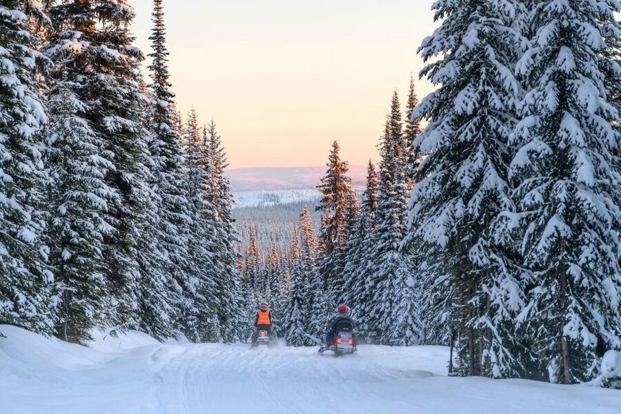 Rovaniemi: Snowmobile Safari Adventure - Twin driving means sharing the fun