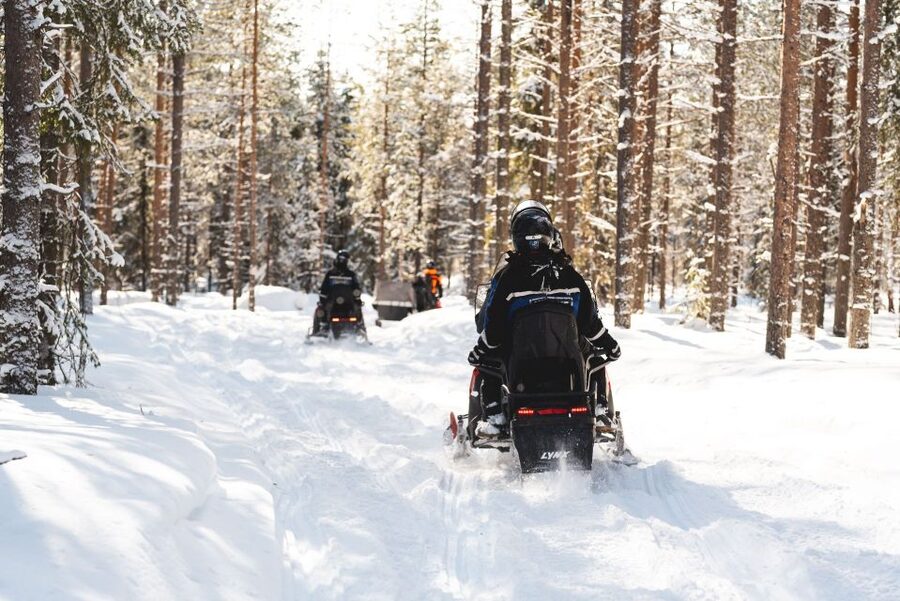 Rovaniemi: Snowmobile Safari into the Arctic Circle Forest - A real Arctic ride, not just a photo stop