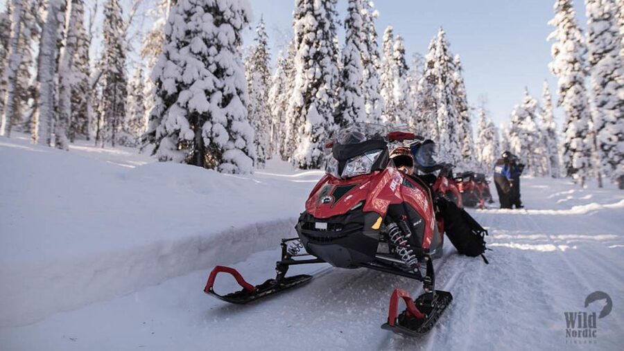 Rovaniemi: Snowmobile Safari into the Arctic Circle Forest - Frozen lakes, frozen swamps, and changing light